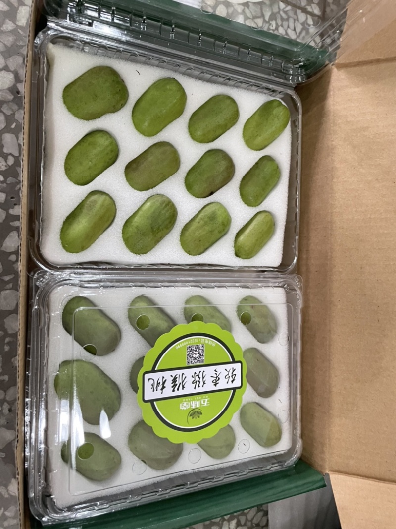 软枣猕猴桃