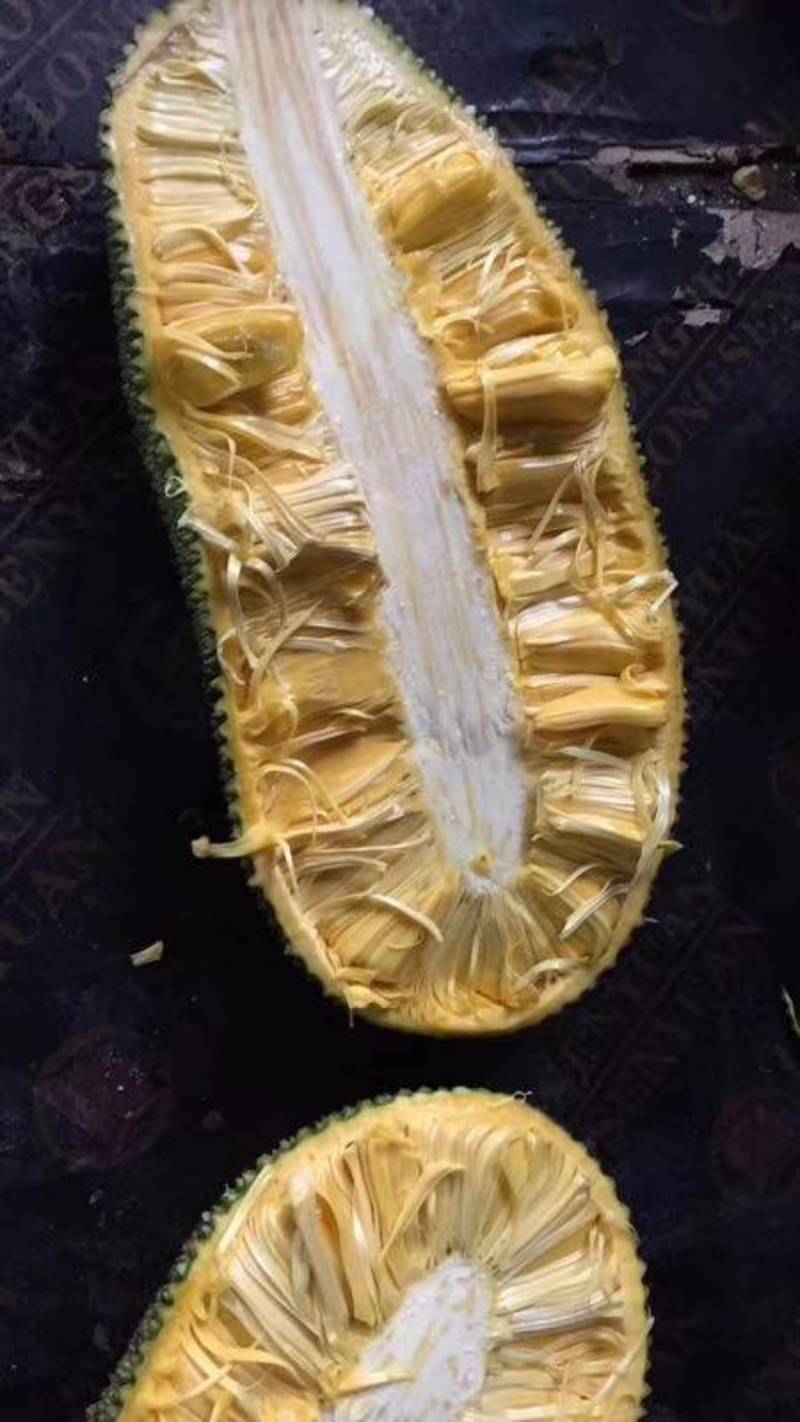 海南三亚青皮菠萝蜜黄肉干包，一手机货原果园直批。