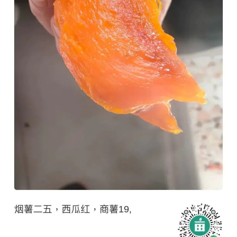 烟薯25，沙地种植软糯香甜，无丝无钩无虫眼，皮色光泽