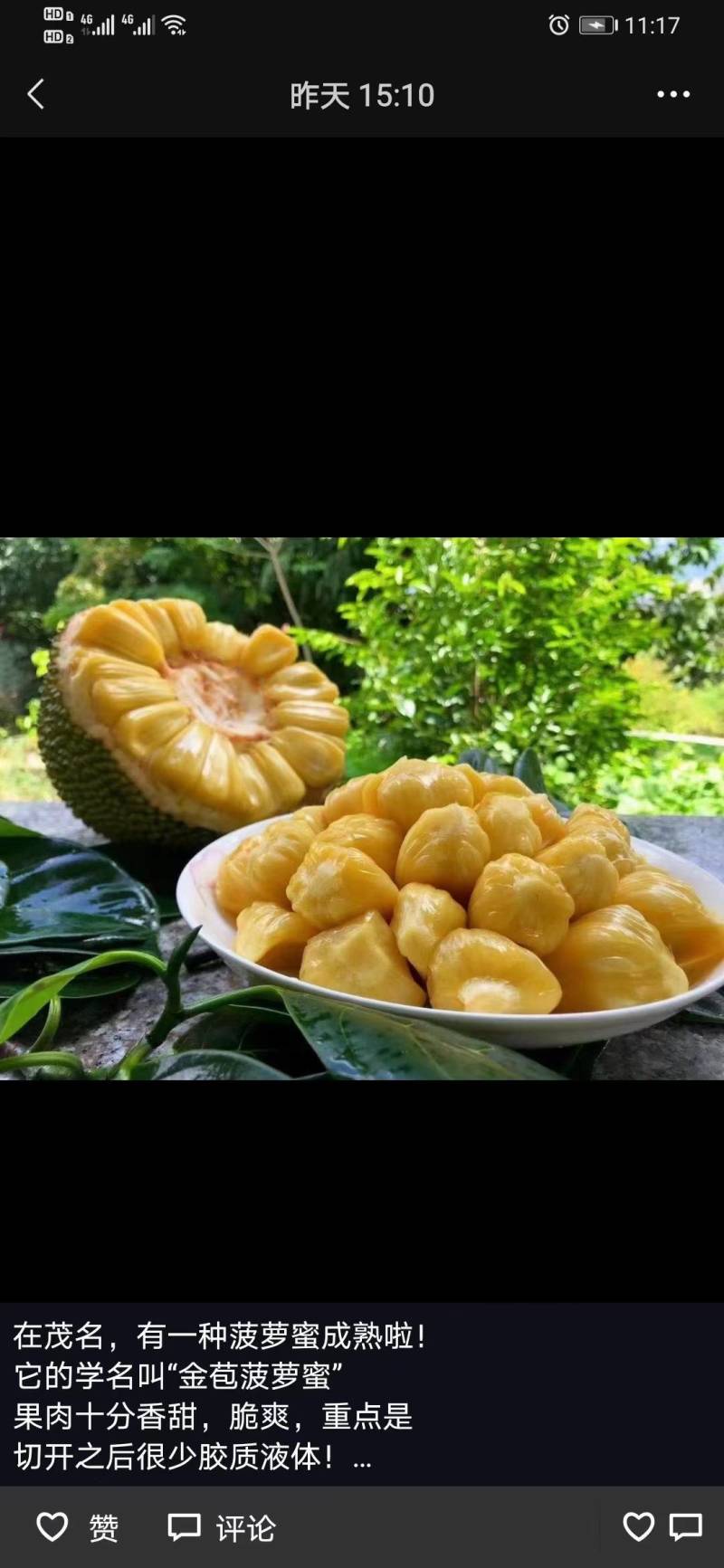 海南三亚马来西亚一号菠萝蜜青皮黄肉果肉饱满脆爽香甜