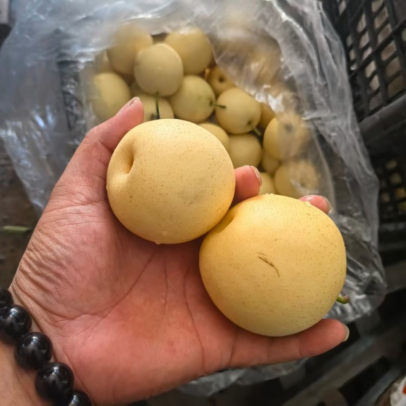 【精品】皇冠梨，三四量左右的电商平台货，社区团购货