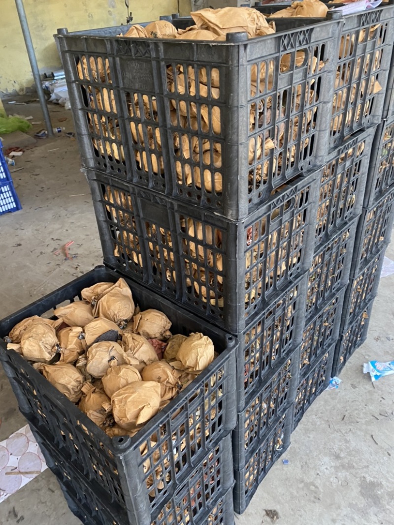 【精品】皇冠梨，三四量左右的电商平台货，社区团购货