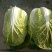 黄心大白菜
