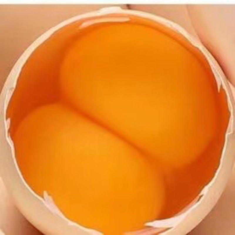 北京双黄蛋大量批发，双黄蛋供应