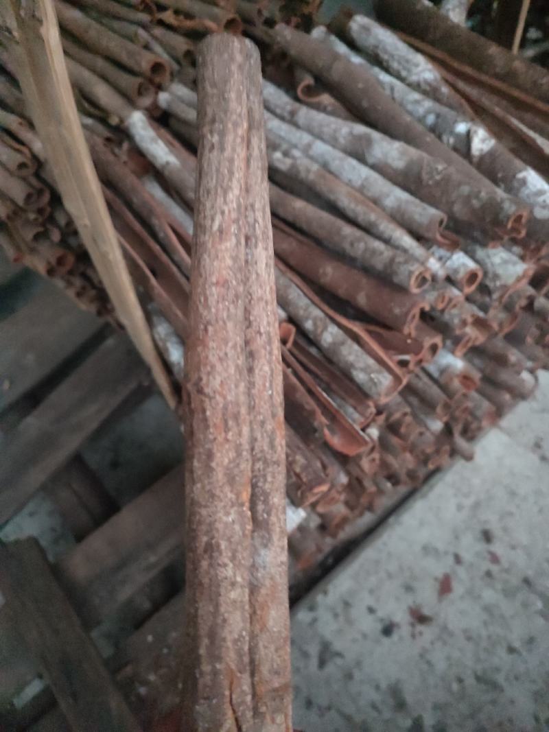 桂碎，统筒，精筒足干，货存充足，当天发货