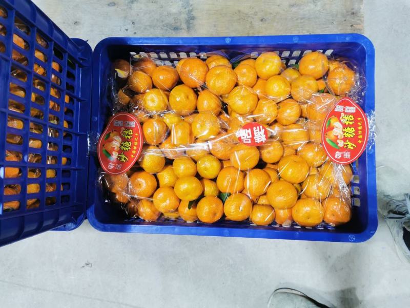 广西平南县万亩基地砂糖橘，皮细起油出砂，口感纯甜化渣。