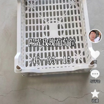 加厚加重阳光玫瑰葡萄专用筐