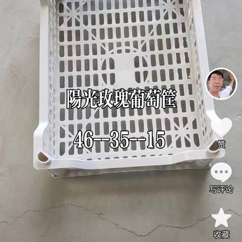 加厚加重阳光玫瑰葡萄专用筐
