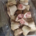 带皮小肘子，厂家直销，手续齐全，货品新鲜，欢迎下单