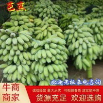 云南芭蕉，苹果蕉大量上市，百亩基地市场，电商供货，一件