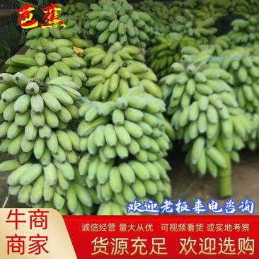 云南芭蕉，苹果蕉大量上市，百亩基地市场，电商供货，一件代发