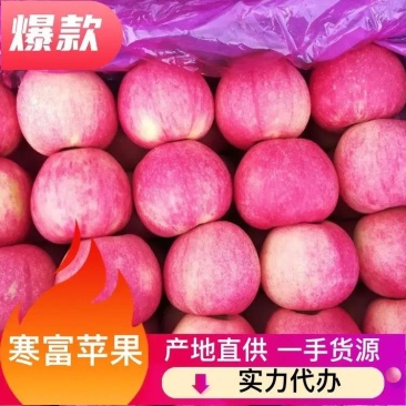 红嘎啦大量上市中，诚信为本，用心经营保你高兴而来满意而归