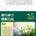 大叶荆芥薄荷种子猫薄荷美国薄荷大叶荆芥种子野菜荆芥种籽