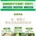 大叶荆芥薄荷种子猫薄荷美国薄荷大叶荆芥种子野菜荆芥种籽