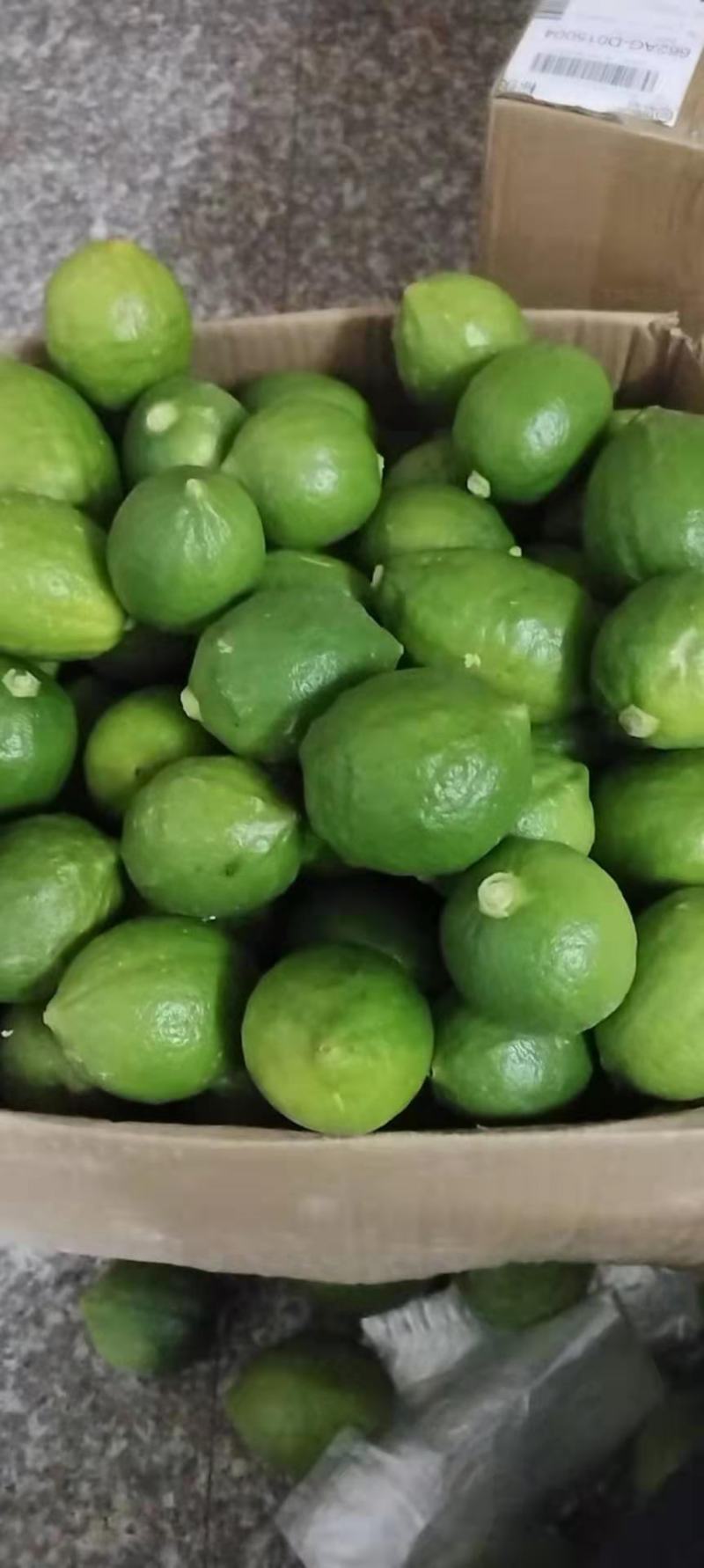 香水柠檬