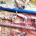 鸡头黄精种子，承德产地供应，专业合作社出品，诚信经营