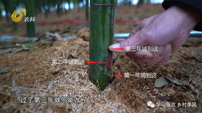 稻壳粉（壳糠、稻糠、砻糠、统糠等），用于养殖种植、饲料等