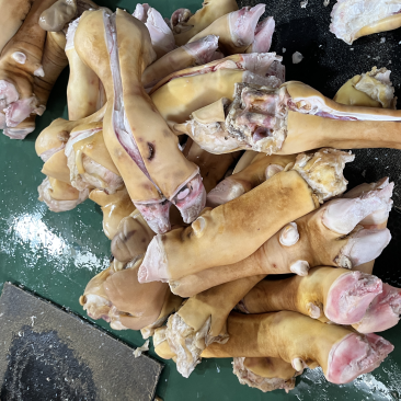 牛耳牛蹄牛舌牛头破牛蹄各种牛副产品欢迎订购