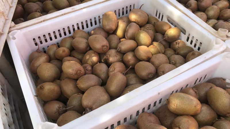 陕西周至翠香高次大量有货电商货整车代办一件代发
