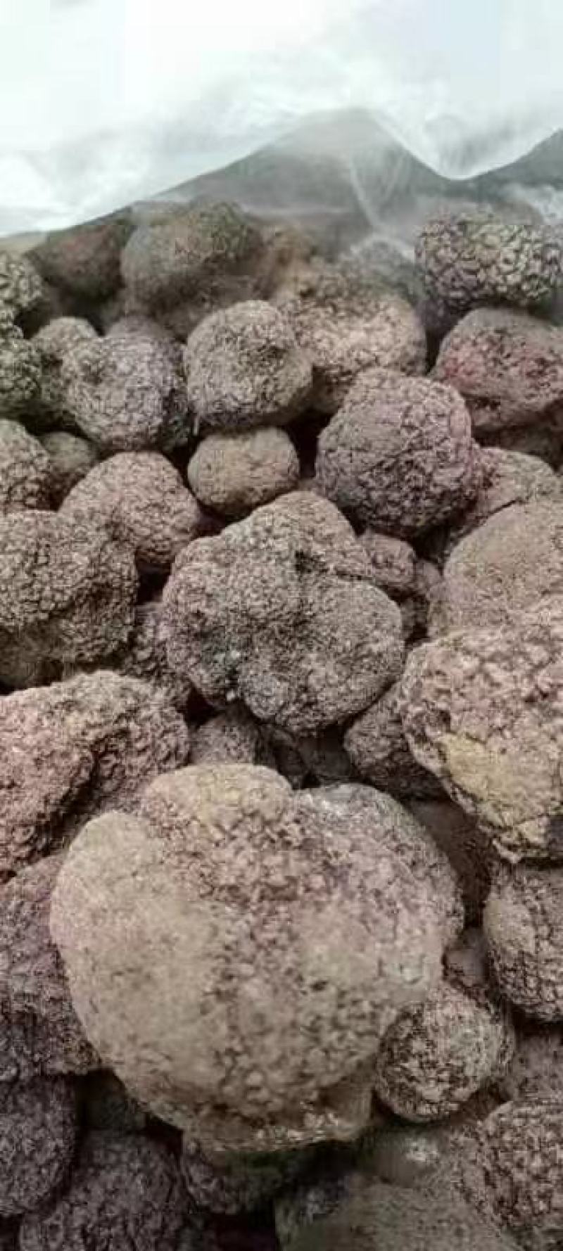 黑松露