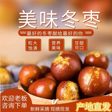 山西冬枣大量上市专业对接电商社区团购各大商超供应链采购商