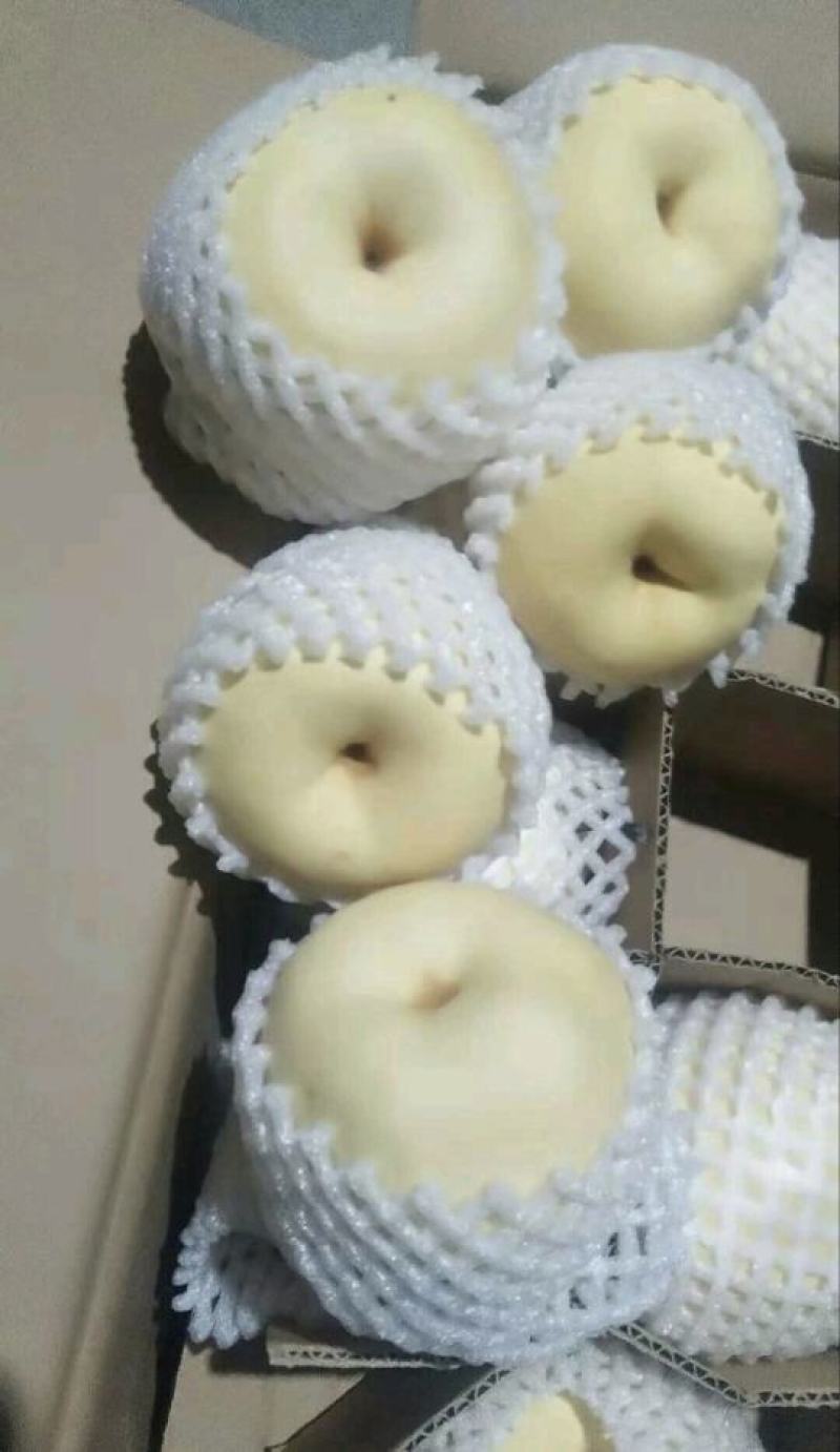 陕西万亩果园，陕西纸袋酥梨，产地直供，可视频看货