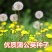蒲公英花种子野菜婆婆丁种植药用种子四季播种年生种食用野