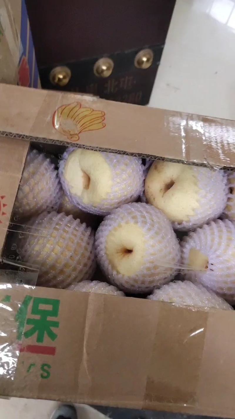 陕西酥梨，皮薄核小，全母梨，需要的老板随时联系我