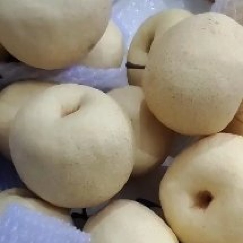 陕西酥梨，皮薄核小，全母梨，需要的老板随时联系我