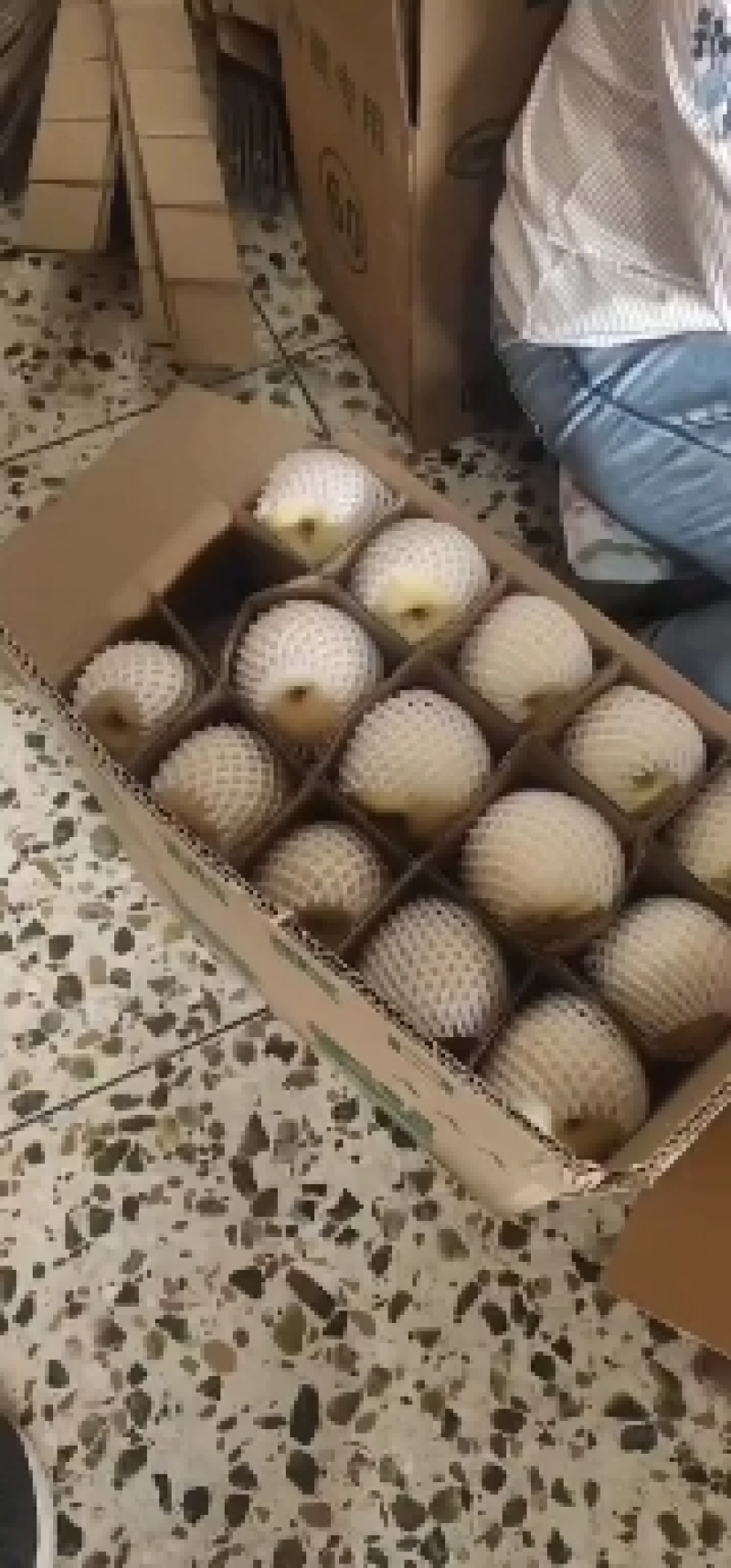 陕西酥梨，皮薄核小，全母梨，需要的老板随时联系我