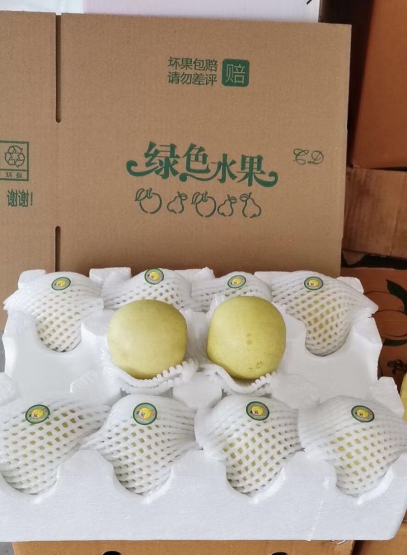 富士苹果，五六毛，质量好无坏果，欢迎电商市场，可一件代发