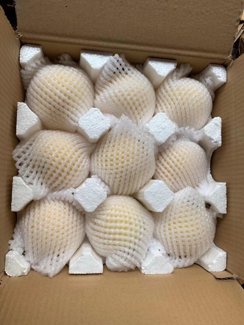 精品河北皇冠梨，低价热销，产地批发，可加工可一件代发来电