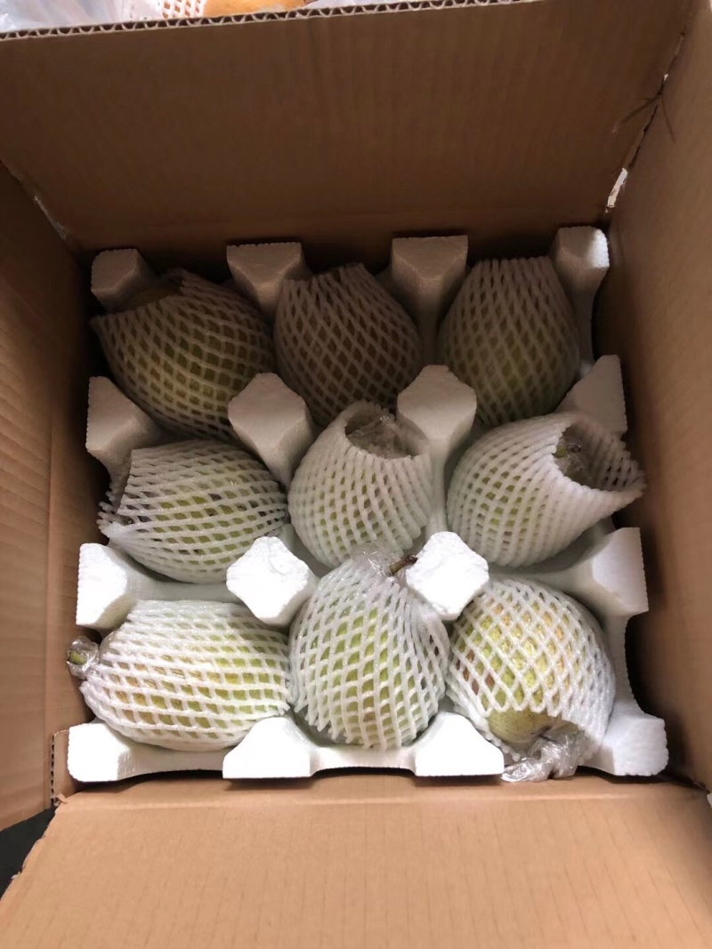 精品河北皇冠梨，低价热销，产地批发，可加工可一件代发来电