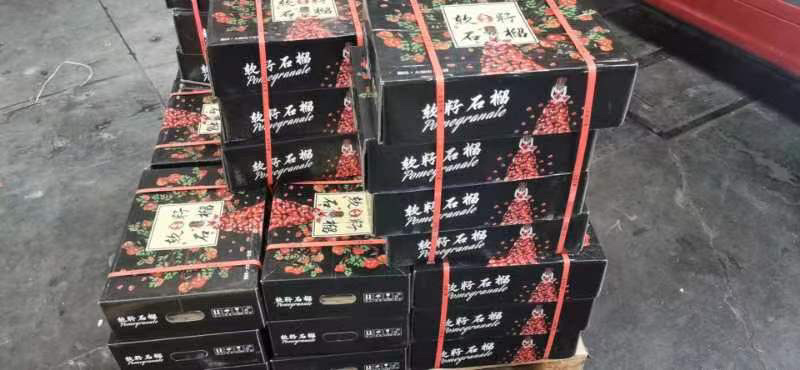 四川软籽石榴