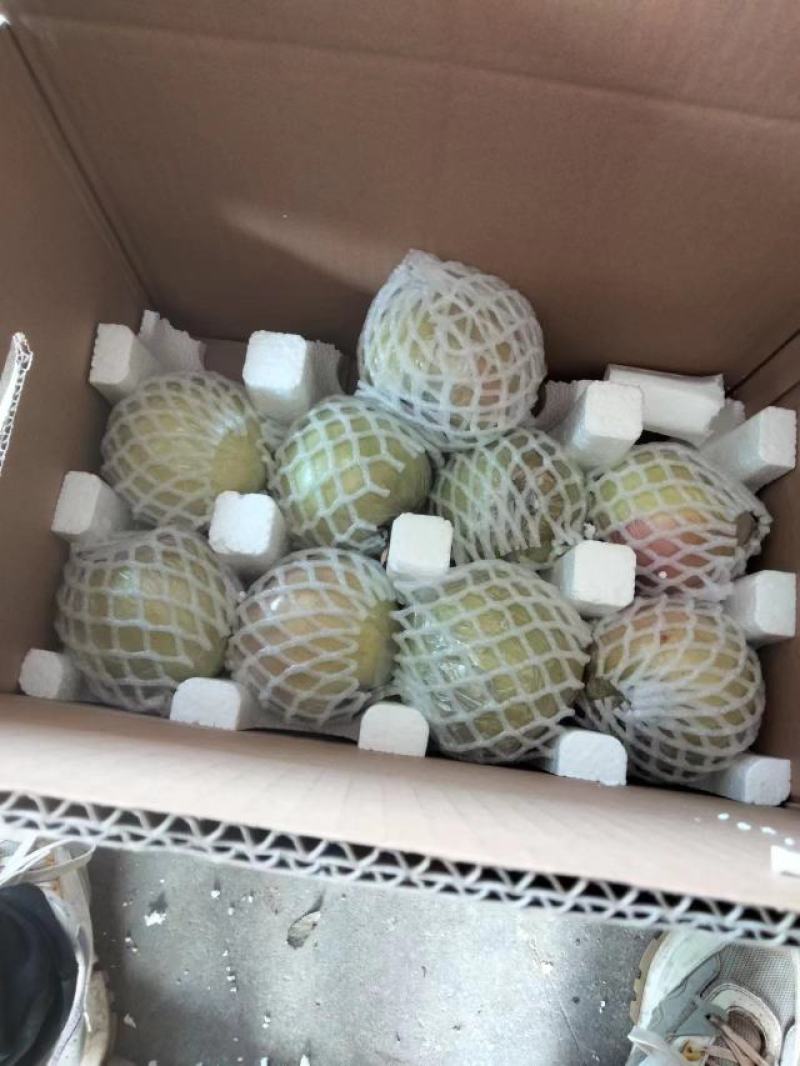 青森苹果，明月水蜜桃苹果，青岛基地现摘现发，汁甜味美