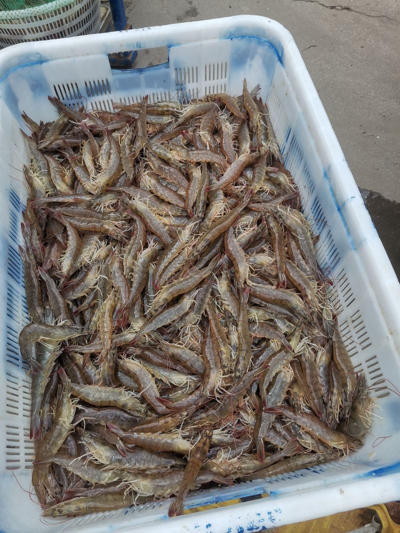 大虾