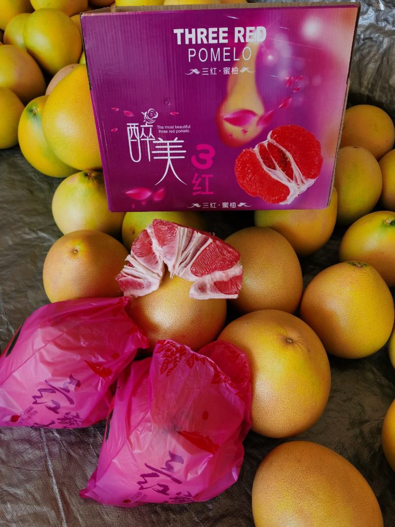 【精品】正宗平和三红柚，质量保证，出口级别，量大从优。