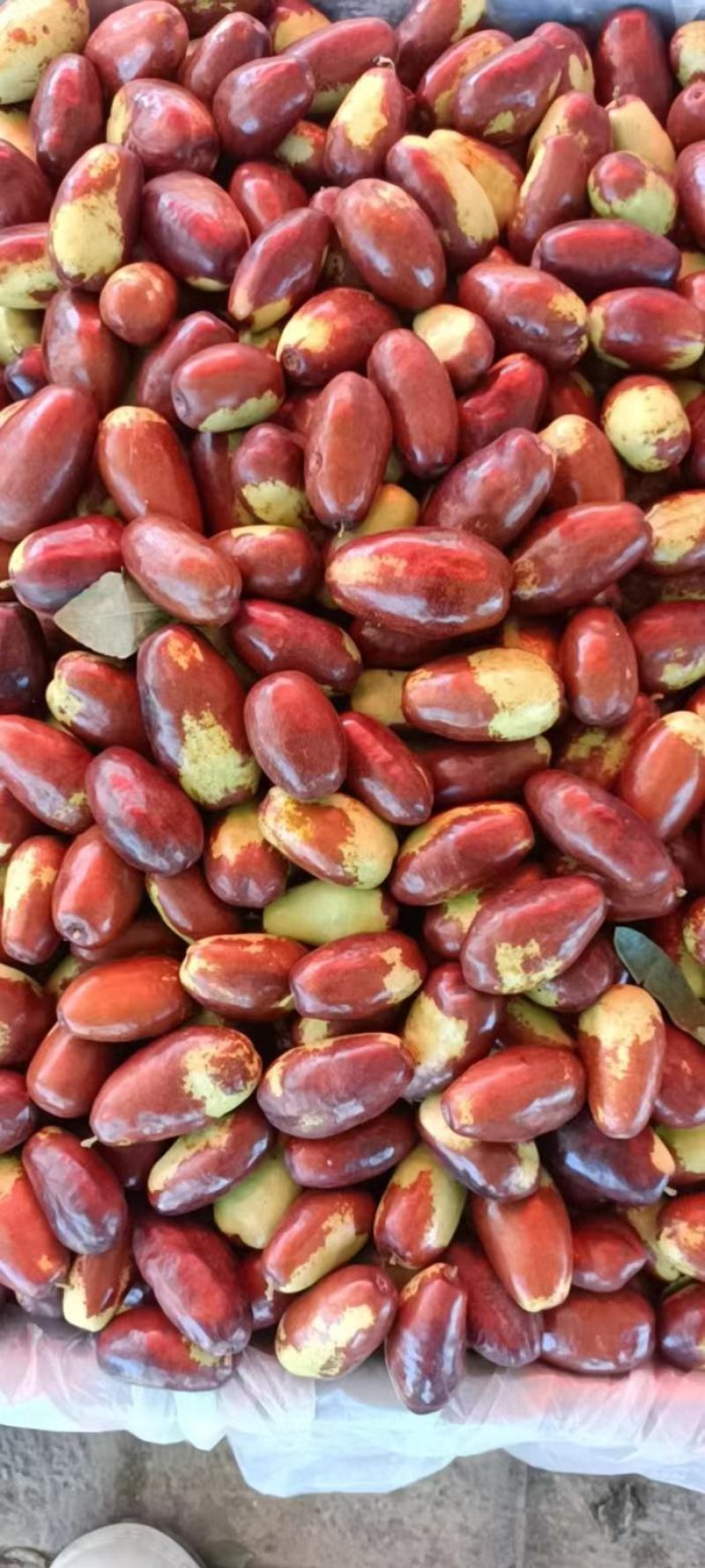 中宁小枣