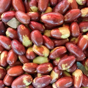 中宁小枣