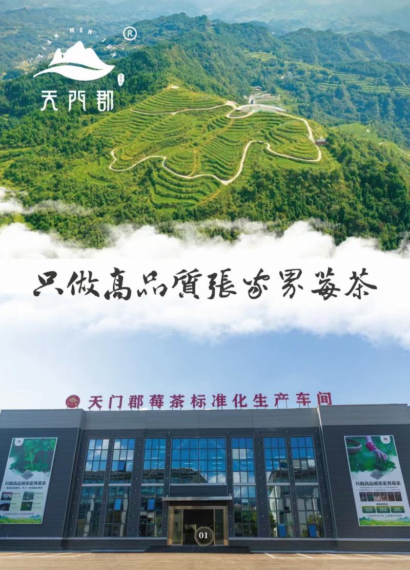 张家界莓茶