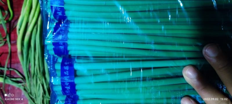 红帽蒜苔，大张蒜苔，大张苔，大张红帽蒜苔，河南蒜苔，蒜苔