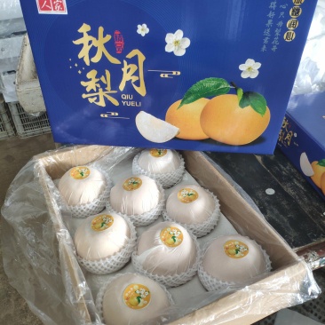 莱阳秋月梨