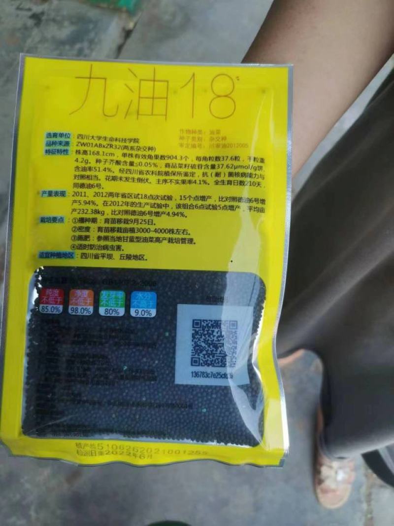 黑油菜种子油菜种子龙油99油菜种子分枝多出油率有优势