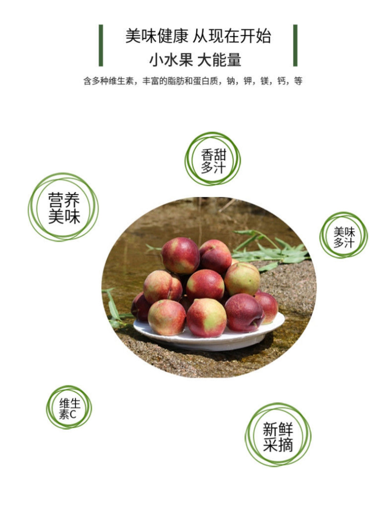 青州蜜桃嵩山蜜桃临朐蜜桃提供各种便利电商代发