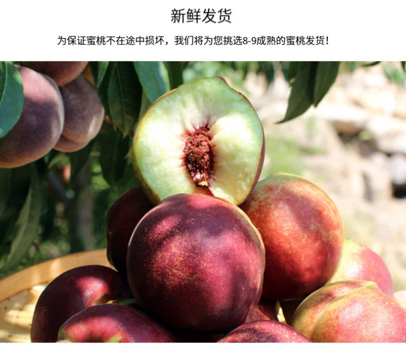 青州蜜桃嵩山蜜桃临朐蜜桃提供各种便利电商代发