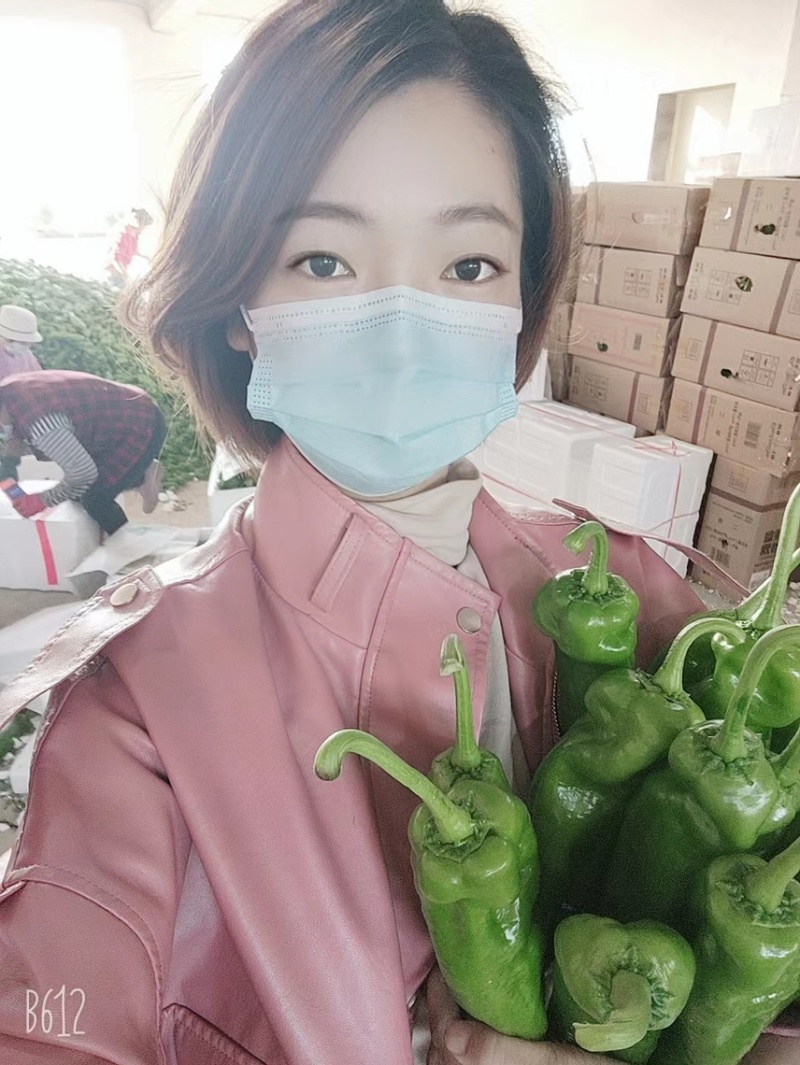 推荐鲜辣椒301辣椒尖椒【以质论价】产地直发现摘现卖