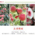 离核蜜桃口感脆甜青州蜜桃嵩山蜜桃高山种植电商代办