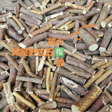 五指毛桃，牛奶根，原生货，又名五指香，大山上的好货，干货