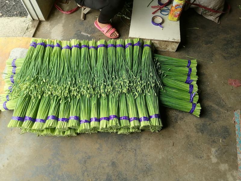 寿光韭苔上市了，现货直发，随装随走，欢迎各位老板致电咨询