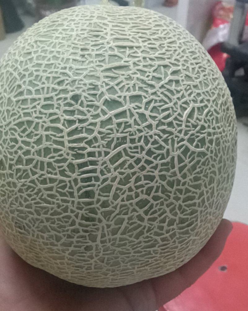 网纹哈密瓜